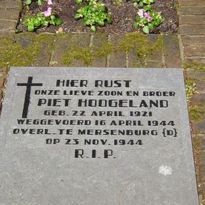 Graf op Duinrust van Piet Hoogeland
