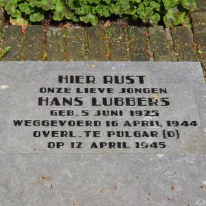 Graf op Duinrust van Hans Lubbers