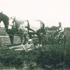 Ely de Bie liggend voor een span paarden