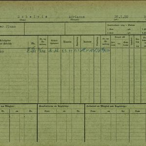 Arbeidsongeschiktheidskaart van Adrianus Schelvis. Bron: AOK-Versichertenkartei Stadtarchiv Braunschweig.